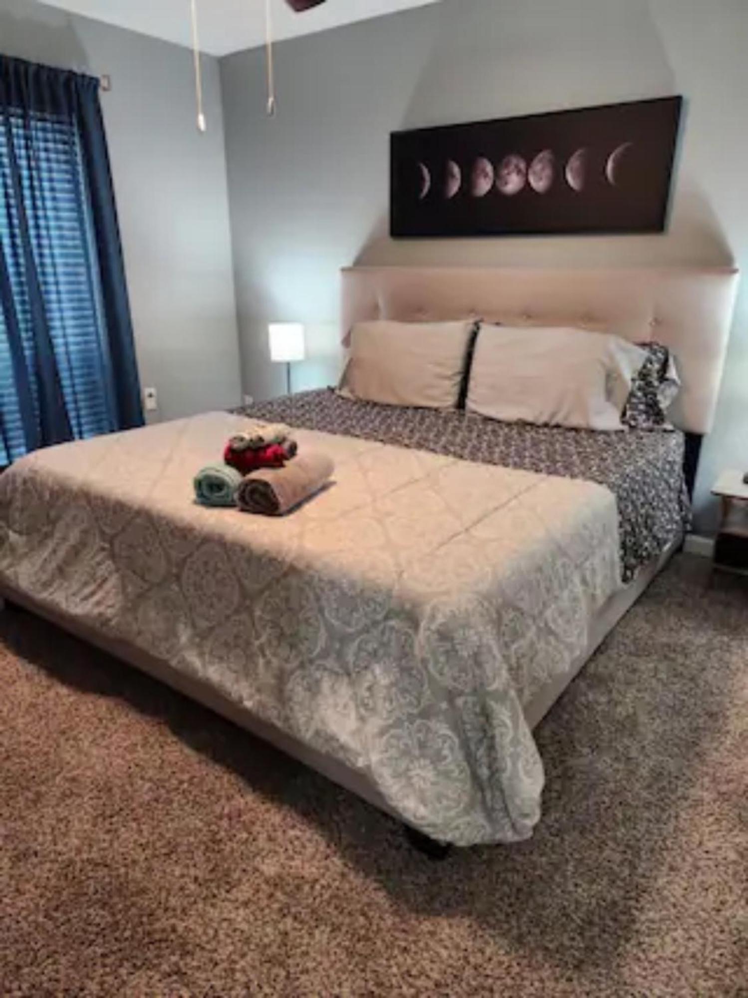 Blue Shark *B501* @ Medical Center 1Br Modern King Apartment With Private Patio Houston Exterior photo